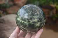 Polished Leopard Stone Sphere With Rosewood Stand x 2 From Zimbabwe