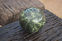 Polished Leopard Stone Sphere With Rosewood Stand x 2 From Zimbabwe