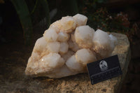 Natural Cascading Candle Quartz Cluster x 1 From Madagascar