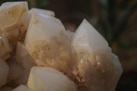 Natural Cascading Candle Quartz Cluster x 1 From Madagascar