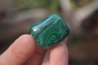 Polished Flower Banded Malachite Free Forms x 35 From Congo