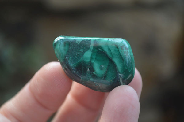 Polished Flower Banded Malachite Free Forms x 35 From Congo