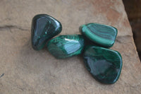 Polished Flower Banded Malachite Free Forms x 35 From Congo