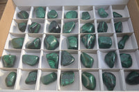 Polished Flower Banded Malachite Free Forms x 35 From Congo