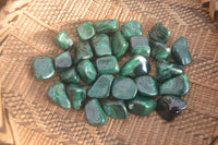 Polished Flower Banded Malachite Free Forms x 35 From Congo