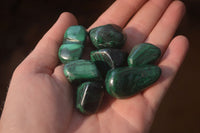 Polished Flower Banded Malachite Free Forms x 35 From Congo