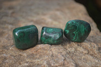 Polished Flower Banded Malachite Free Forms x 35 From Congo