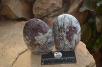 Polished Rubellite Pink Tourmaline Standing Free Forms x 2 From Madagascar