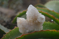 Natural Spirit Quartz Clusters x 12 From Boekenhouthoek, South Africa