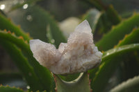 Natural Spirit Quartz Clusters x 12 From Boekenhouthoek, South Africa