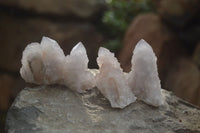 Natural Spirit Quartz Clusters x 12 From Boekenhouthoek, South Africa