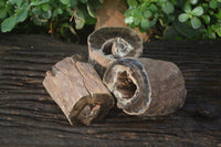 Polished Petrified Wood Branch Pieces x 3 From Gokwe, Zimbabwe