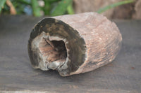 Polished Petrified Wood Branch Pieces x 3 From Gokwe, Zimbabwe