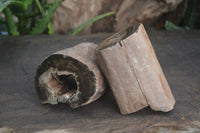 Polished Petrified Wood Branch Pieces x 3 From Gokwe, Zimbabwe