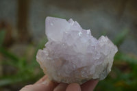 Natural Amethyst Cactus Flower Spirit Quartz Clusters x 6 From South Africa