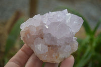 Natural Amethyst Cactus Flower Spirit Quartz Clusters x 6 From South Africa