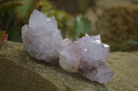 Natural Amethyst Cactus Flower Spirit Quartz Clusters x 6 From South Africa