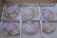 Natural Amethyst Cactus Flower Spirit Quartz Clusters x 6 From South Africa