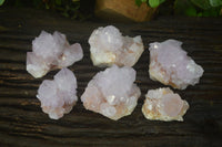 Natural Amethyst Cactus Flower Spirit Quartz Clusters x 6 From South Africa