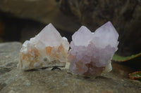 Natural Amethyst Cactus Flower Spirit Quartz Clusters x 6 From South Africa