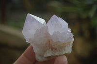 Natural Amethyst Cactus Flower Spirit Quartz Clusters x 6 From South Africa