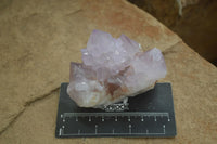 Natural Amethyst Cactus Flower Spirit Quartz Clusters x 6 From South Africa