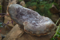 Natural Zululand Amethyst Geode Plate Specimens x 2 from Jozini, South Africa