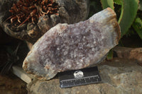 Natural Zululand Amethyst Geode Plate Specimens x 2 from Jozini, South Africa