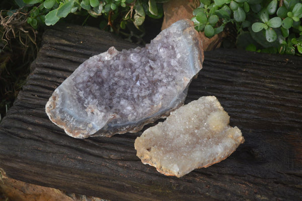 Natural Zululand Amethyst Geode Plate Specimens x 2 from Jozini, South Africa