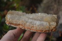 Natural Zululand Amethyst Geode Plate Specimens x 2 from Jozini, South Africa