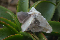 Natural Hematoid Quartz Clusters x 6 From Karoi, Zimbabwe