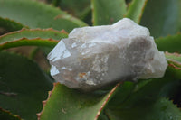 Natural Hematoid Quartz Clusters x 6 From Karoi, Zimbabwe