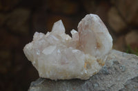 Natural Hematoid Quartz Clusters x 6 From Karoi, Zimbabwe