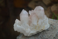 Natural Hematoid Quartz Clusters x 6 From Karoi, Zimbabwe