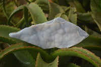 Natural Crystalline Blue Lace Agate Plates x 2 From Namibia