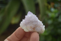 Natural Amethyst Spirit Quartz Crystals x 35 From Boekenhouthoek, South Africa