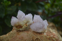 Natural Amethyst Spirit Quartz Crystals x 35 From Boekenhouthoek, South Africa