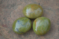 Polished Green Opal Palm Stones x 12 From Antsirabe, Madagascar