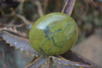 Polished Green Opal Palm Stones x 12 From Antsirabe, Madagascar