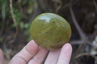 Polished Green Opal Palm Stones x 12 From Antsirabe, Madagascar