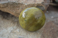 Polished Green Opal Palm Stones x 12 From Antsirabe, Madagascar