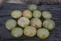 Polished Green Opal Palm Stones x 12 From Antsirabe, Madagascar