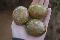 Polished Green Opal Palm Stones x 12 From Antsirabe, Madagascar