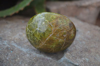 Polished Green Opal Palm Stones x 12 From Antsirabe, Madagascar