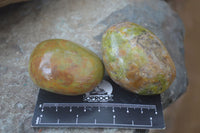 Polished Green Opal Palm Stones x 12 From Antsirabe, Madagascar