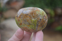 Polished Green Opal Palm Stones x 12 From Antsirabe, Madagascar