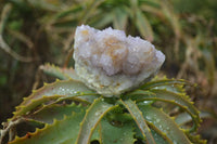 Natural Amethyst Spirit Quartz Clusters x 6 From Boekenhouthoek, South Africa