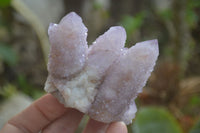 Natural Amethyst Spirit Quartz Clusters x 6 From Boekenhouthoek, South Africa