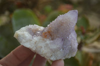 Natural Amethyst Spirit Quartz Clusters x 6 From Boekenhouthoek, South Africa