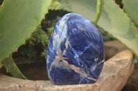 Polished Sodalite Standing Free Forms x 4 From Kunene River, Namibia